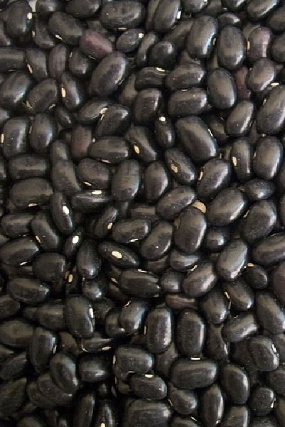Black Beans Recipe